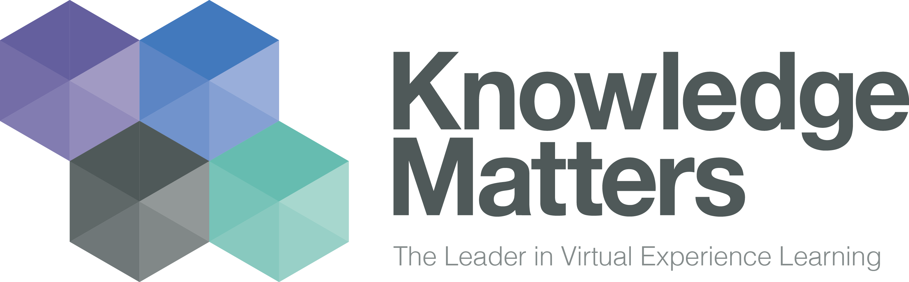 Knowledge Matters - The Leader in Virtual Experience Learning